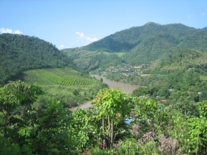 タイ・ラオス　2006 141.jpg