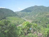 タイ・ラオス　2006 141.jpg