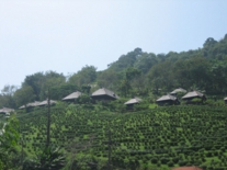 タイ・ラオス　2006 170.jpg