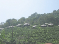 タイ・ラオス　2006 170.jpg