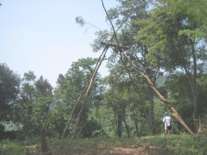 タイ・ラオス　2006 179.jpg